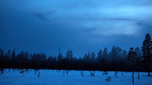 Slöjat månsken...