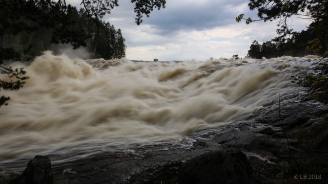 Dalälvens vårflöde vid Älvkarleby...