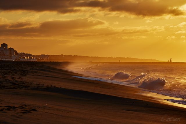 Morgon, Algarve Portugal