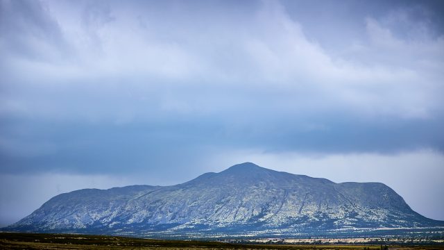 Storkringla...