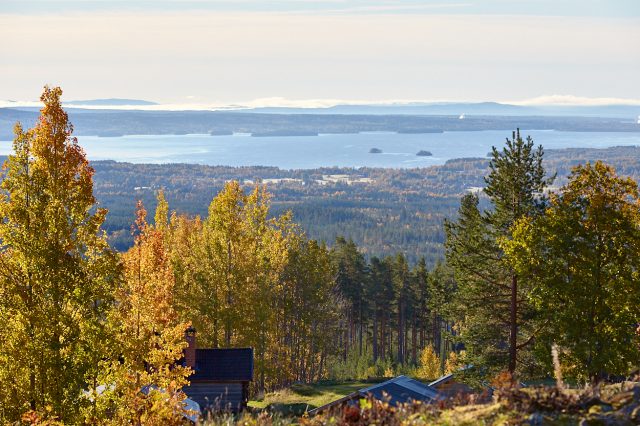 Frostprydda åkrar i Våmhus...