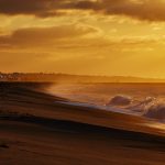 Vinterrull 2017-2018