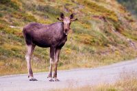 Elge on the road…