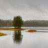 Regnstilla vatten...