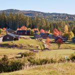 Höstbilder från Näsberg…