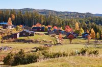 Höstbilder från Näsberg…