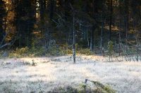När solen bryter igenom…