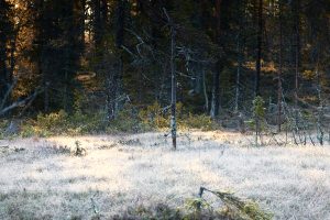 När solen bryter igenom...