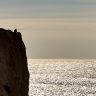 elobe_700862 1