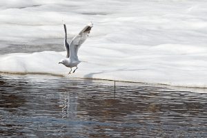 På väg....