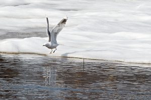 På väg....