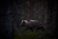 Lufsar där…