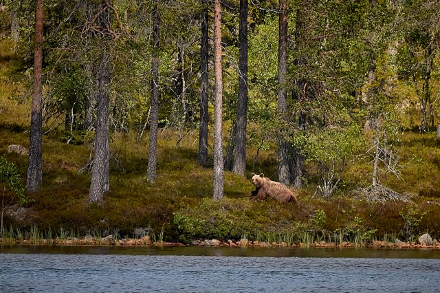 Söker vidare... 12.54