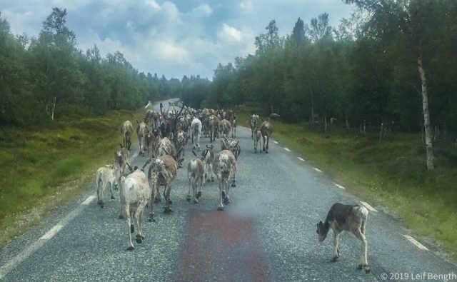Trafikstockning i Sörvattnet