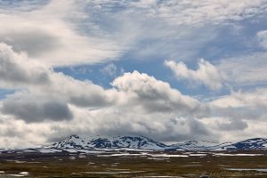 Fors och fjäll