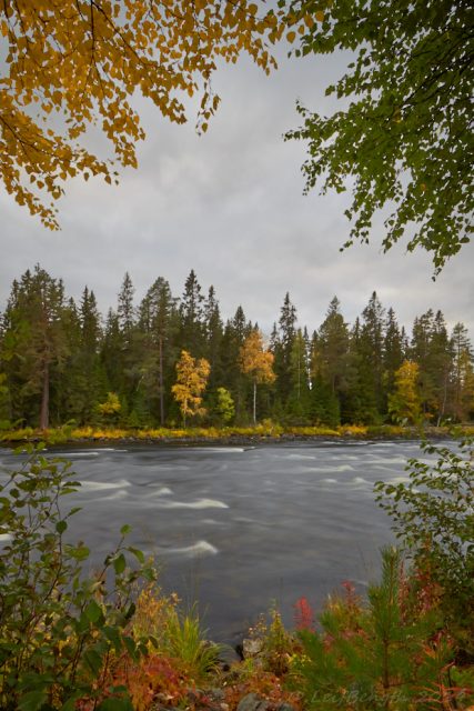 Brattströmmen