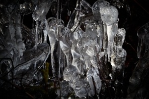 Liötbjärstrollen