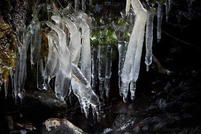Hängisar
