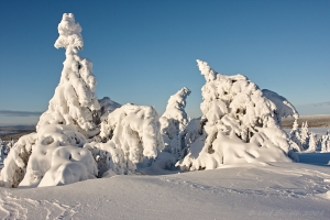 Vinterland