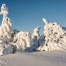 Höjdarmöte