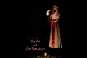 God Jul och Gott Nytt Ljus!