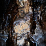 Bergakungen m fl troll…