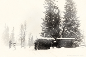 Snöskoter- och husbilsvecka