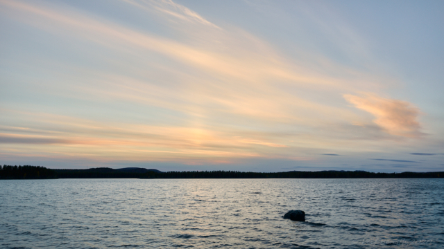 Moskosel vid solnedgång