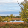 Liten tjärn mellan Högvålen och Brändåsen, Härjedalen