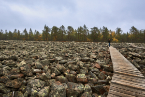 Jättarnas mur