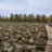 Jättarnas mur
