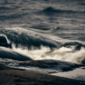 Vid havet utanför Kristinestad