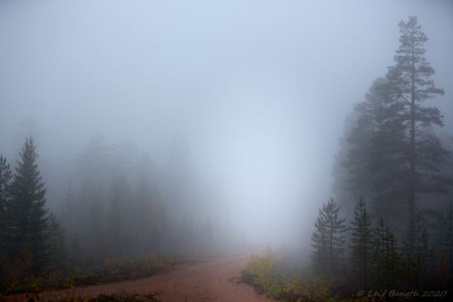 Andljus vid Andjusen