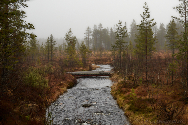 Geddtjennbäcken