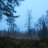 Novemberljus...