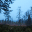 Novemberljus...
