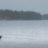 Husbilsvecka i gråväder