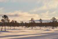 Morgonljus på Kölen