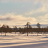 Morgonöjus över Aspholsmyren