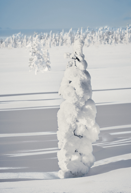 Väktaren