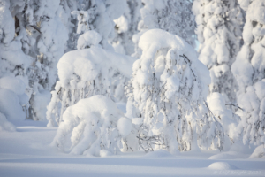 Vintriga skapelser på Kölen