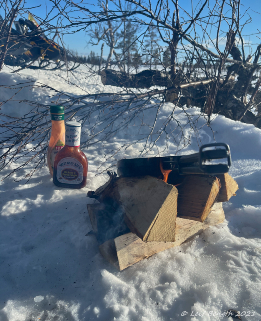 Grillning vd Lövhögen