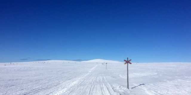 Vedungsfjället