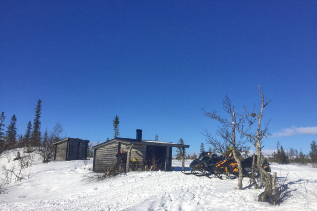 Grillmys vid Lövhögen