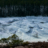 Rotnans svallar