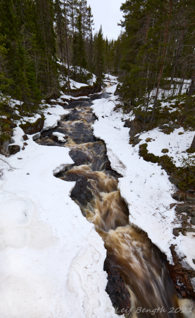 Olingan uppströms bron