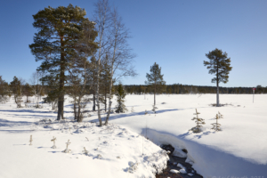 Annandag Påsk