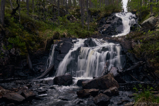 Sjungarefall