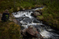 Sjungaretroll och Sjungarefall