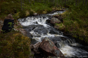 Sjungaretroll och Sjungarefall